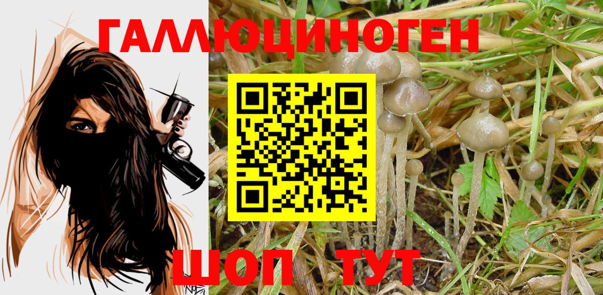 Галлюциногенные грибы ЛСД Нефтекумск
