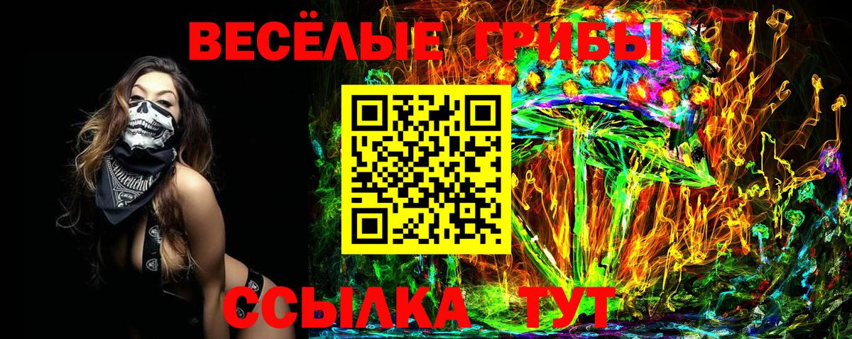 Галлюциногенные грибы прущие грибы  Галлюциногенные грибы прущие грибы  Вход с VPN  Нефтекумск 